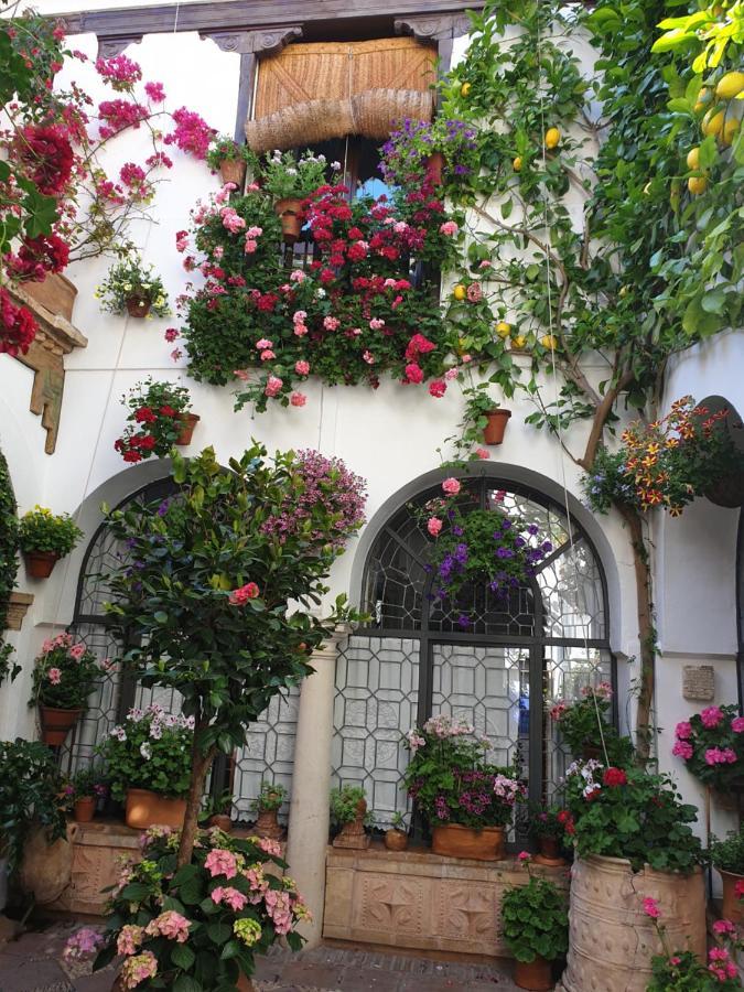 Apto. Planta Baja Y Cochera Barrio San Basilio Cordoue Extérieur photo