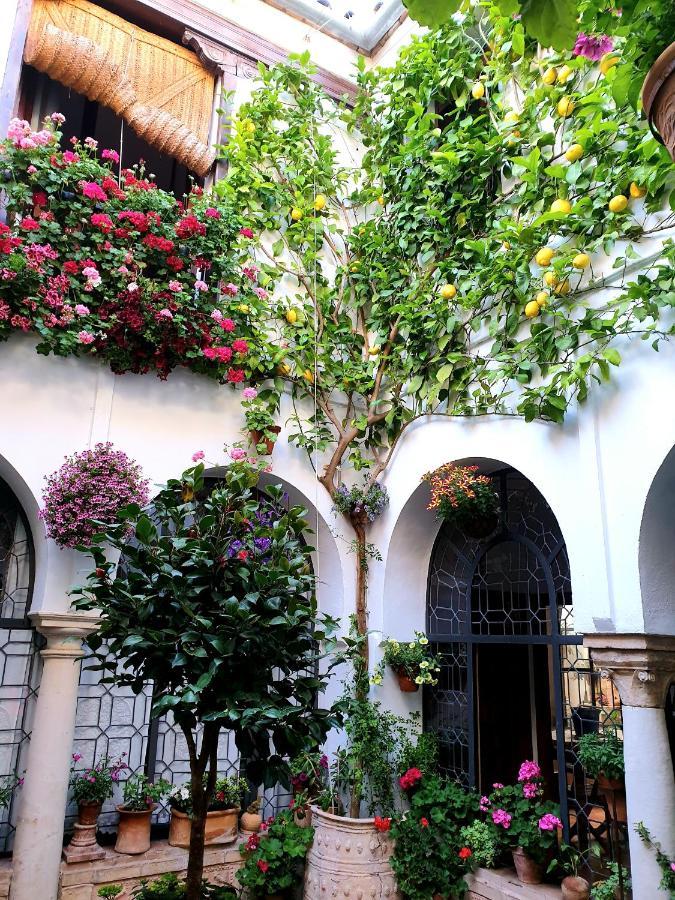 Apto. Planta Baja Y Cochera Barrio San Basilio Cordoue Extérieur photo